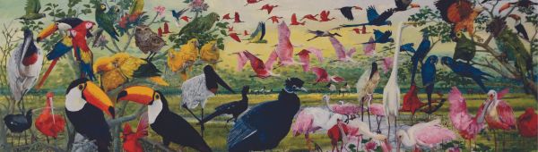 AVES DA AMAZÔNIA - PINTURAS