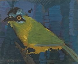 Aves da Amazônia II