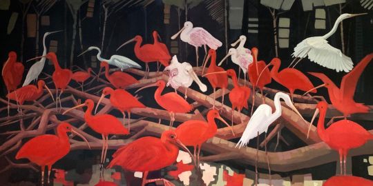 Guara, Colhereiros e Garças brancas grandes
