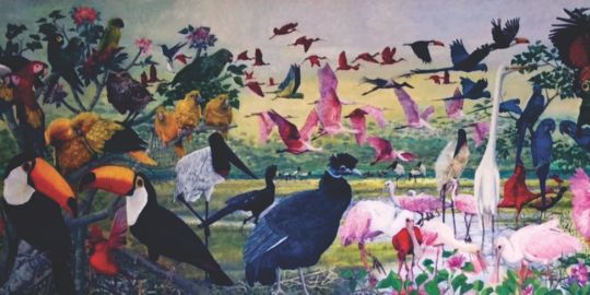 Amazônia Viva - Aves Brasileiras - Pinturas de Giovanni Gargano